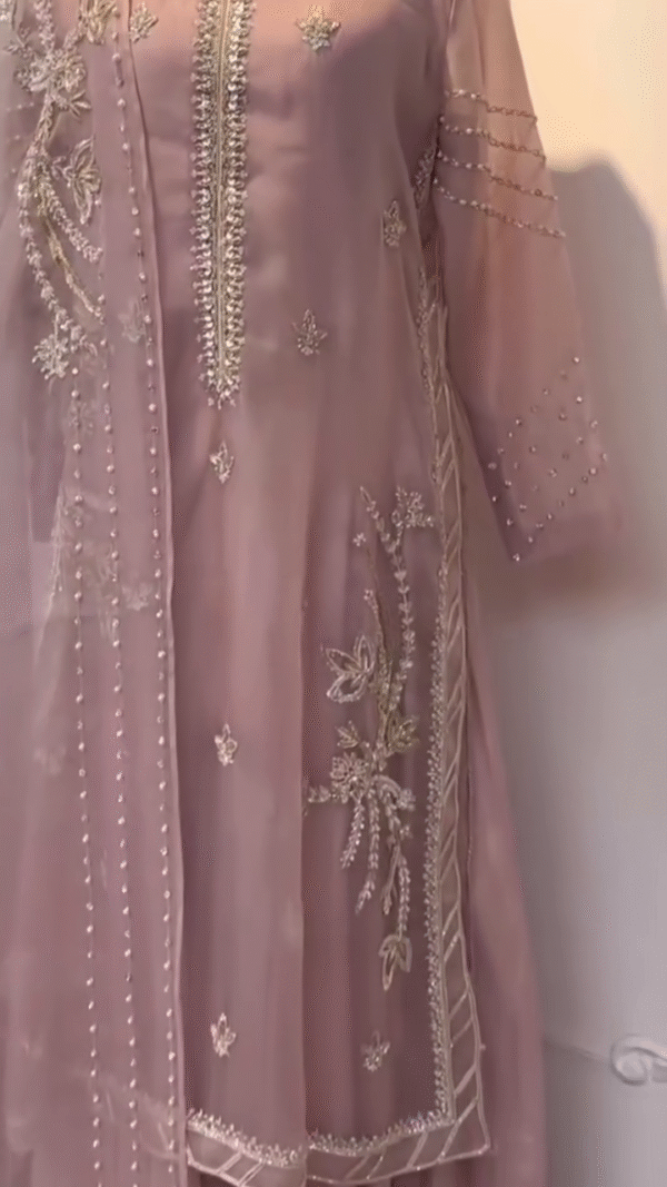 Semi-Stitched Organza Salwar Suit Material Embroidered Elegance in Every Thread - Image 2