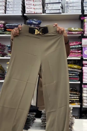 Women High-Rise Pleated Korean Trousers